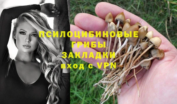 гашик Переславль-Залесский