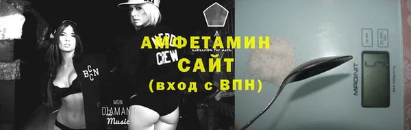 шишки Пересвет