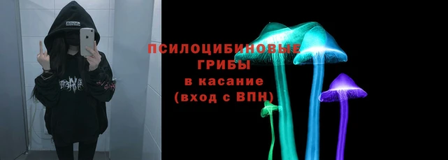 шишки Пересвет