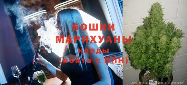 шишки Пересвет