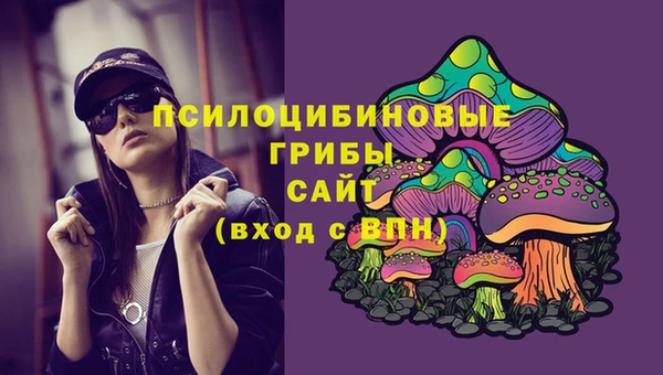эйфоретик Пестово