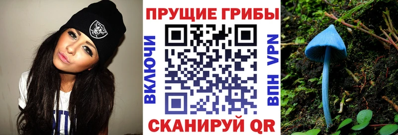 купить наркоту  Рыбное  Псилоцибиновые грибы Psilocybe 